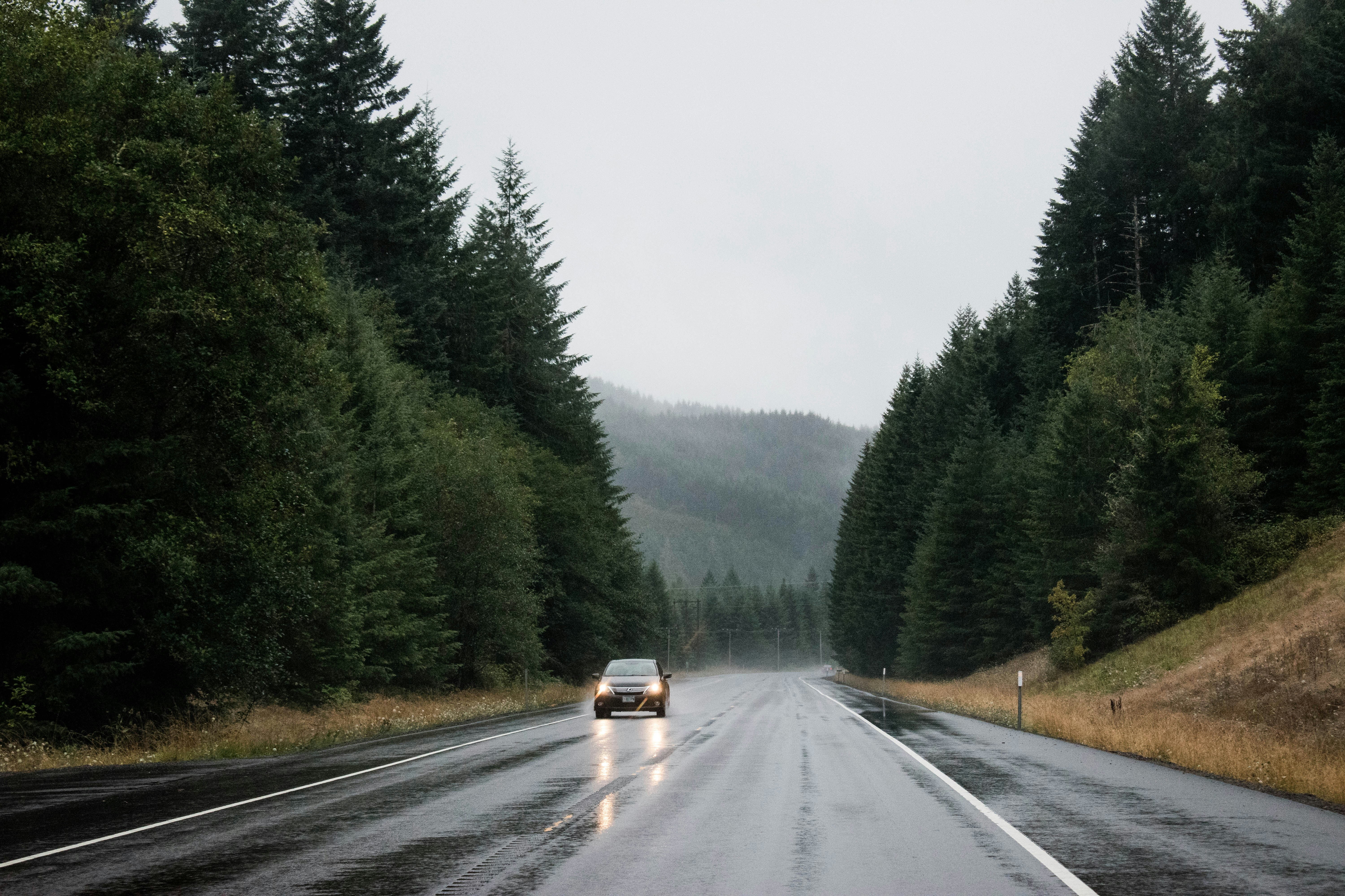Road during challenging weather conditions